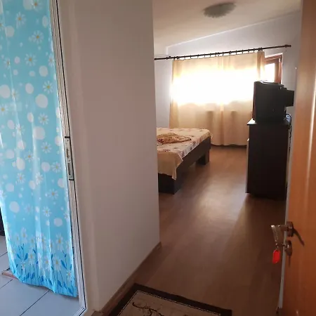 Vila Ciresica ゲストハウス *