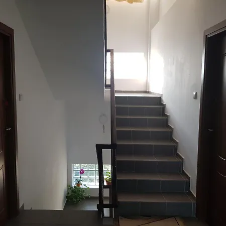 ゲストハウス Vila Ciresica